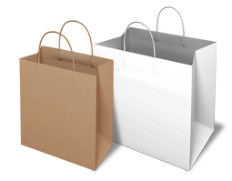 Takeaway Paper Bags