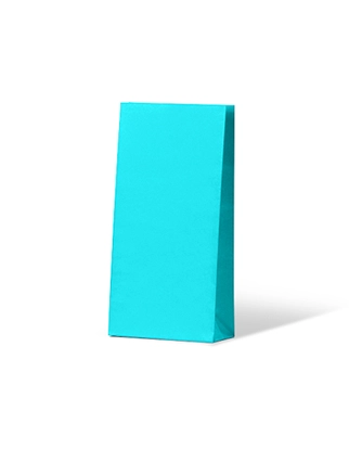 Gift Paper Bags Small - Blue