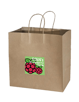 Brown Paper Bag - Takeaway Medium with Square Sticker Bundle