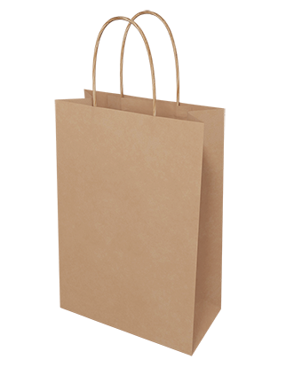 Brown Paper Bags - Junior