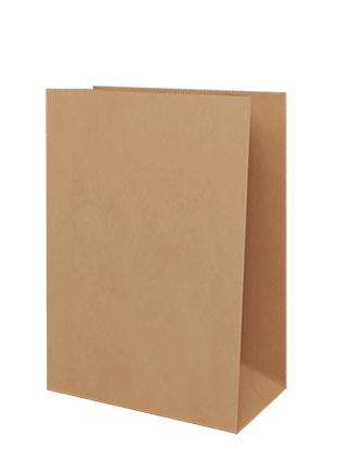 Brown Paper Grocery Bags -  XX Large