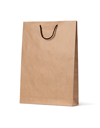 Brown Paper Bags Medium - Rope Handles