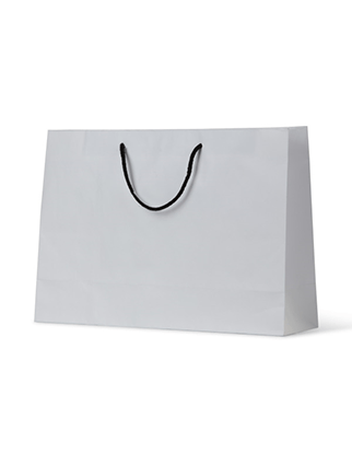 White Paper Bags Small Boutique - Rope Handles