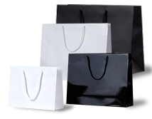 Laminated Paper Bags