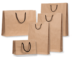 Brown Paper Bags - Rope Handles