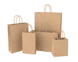 Brown Paper Bags - Twisted Handles
