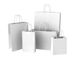 White Paper Bags - Twisted Handles