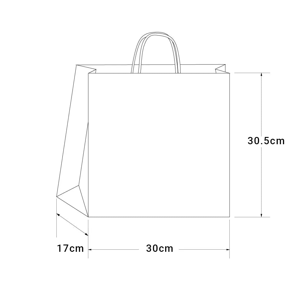 Large Twist Handle Kraft Paper Bags