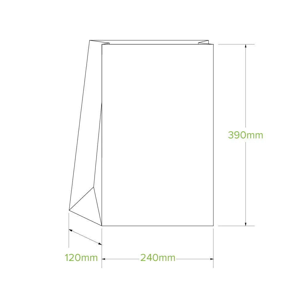 SOS 16 - Kraft Paper Grocery Bag