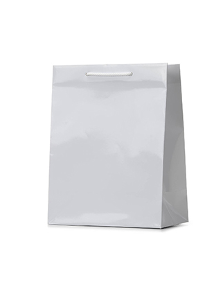 White Gloss Laminated Paper Bags - Portrait