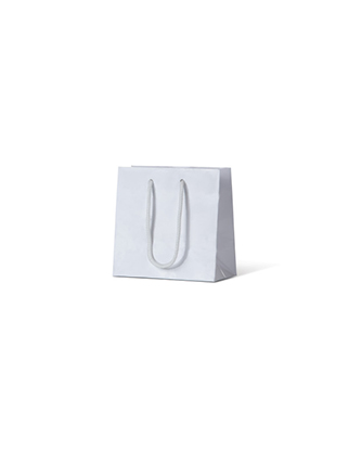 White Gloss Laminated Paper Bags - Small