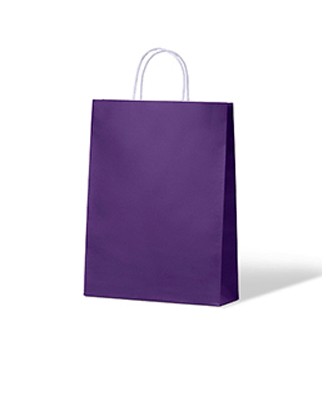 Paper Bags Small - Purple