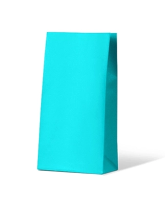 Gift Paper Bags Medium - Blue