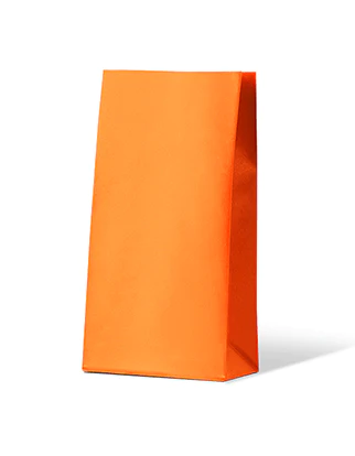 Gift Paper Bags Medium - Orange