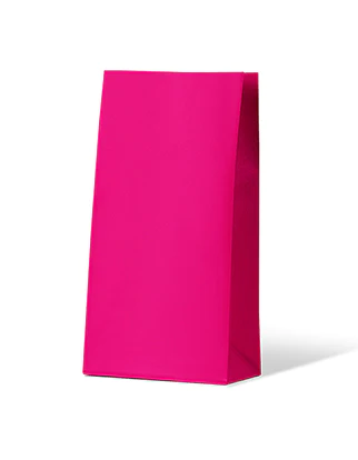 Gift Paper Bags Medium - Pink