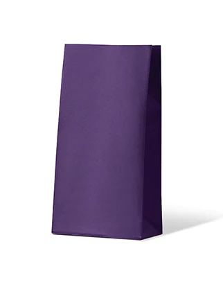Gift Paper Bags Medium - Purple