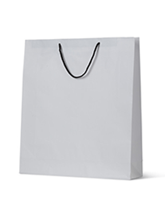 White Paper Bags Large - Rope Handles