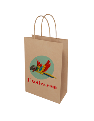 Brown Kraft Paper Bag - Junior - Custom Printed