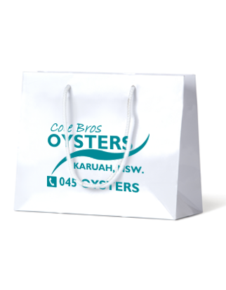 Custom Printed White Gloss Laminated Paper Gift Bags - Medium