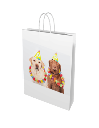 White Kraft Paper Bag - Medium - Custom Printed