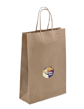 Brown Paper Bag - Small with Medium Circle Sticker Bundle