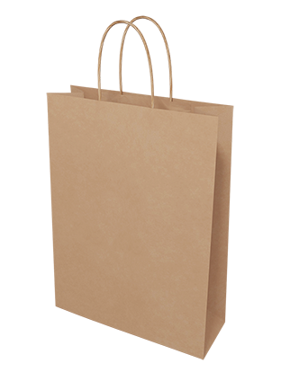 Brown Paper Bags - Small