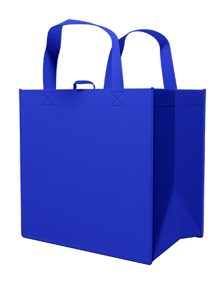 All Purpose Carry Bag - Blue