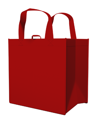 All Purpose Carry Bag - Red