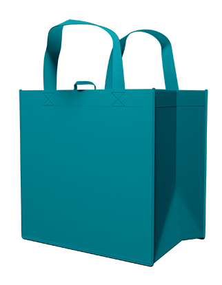 All Purpose Carry Bag - Teal