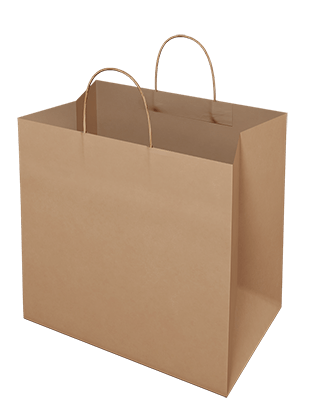 Brown Paper Bag - Takeaway Large