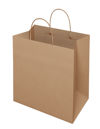 Brown Paper Bag - Takeaway Medium