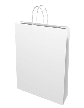 White Paper Bags - Medium
