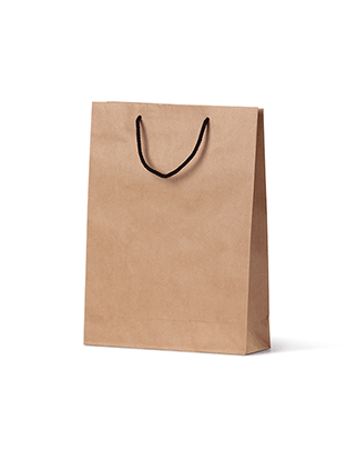Brown Paper Bags Small - Rope Handles