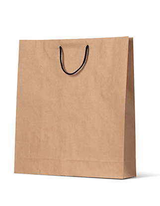 Brown Paper Bags Large - Rope Handles