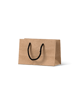 Brown Paper Bags Minigift - Rope Handles