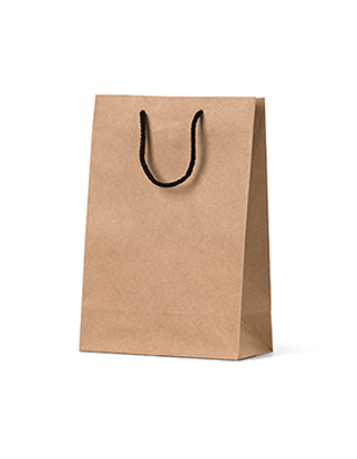 Brown Paper Bags Junior - Rope Handles