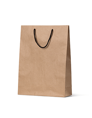 Brown Paper Bags Midi - Rope Handles