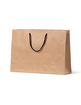 Brown Paper Bags Small Boutique - Rope Handles