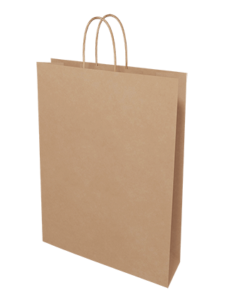 Brown Paper Bags - Medium