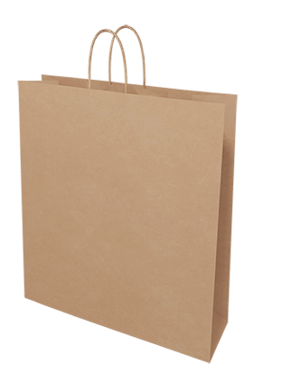 Brown Paper Bags - Large